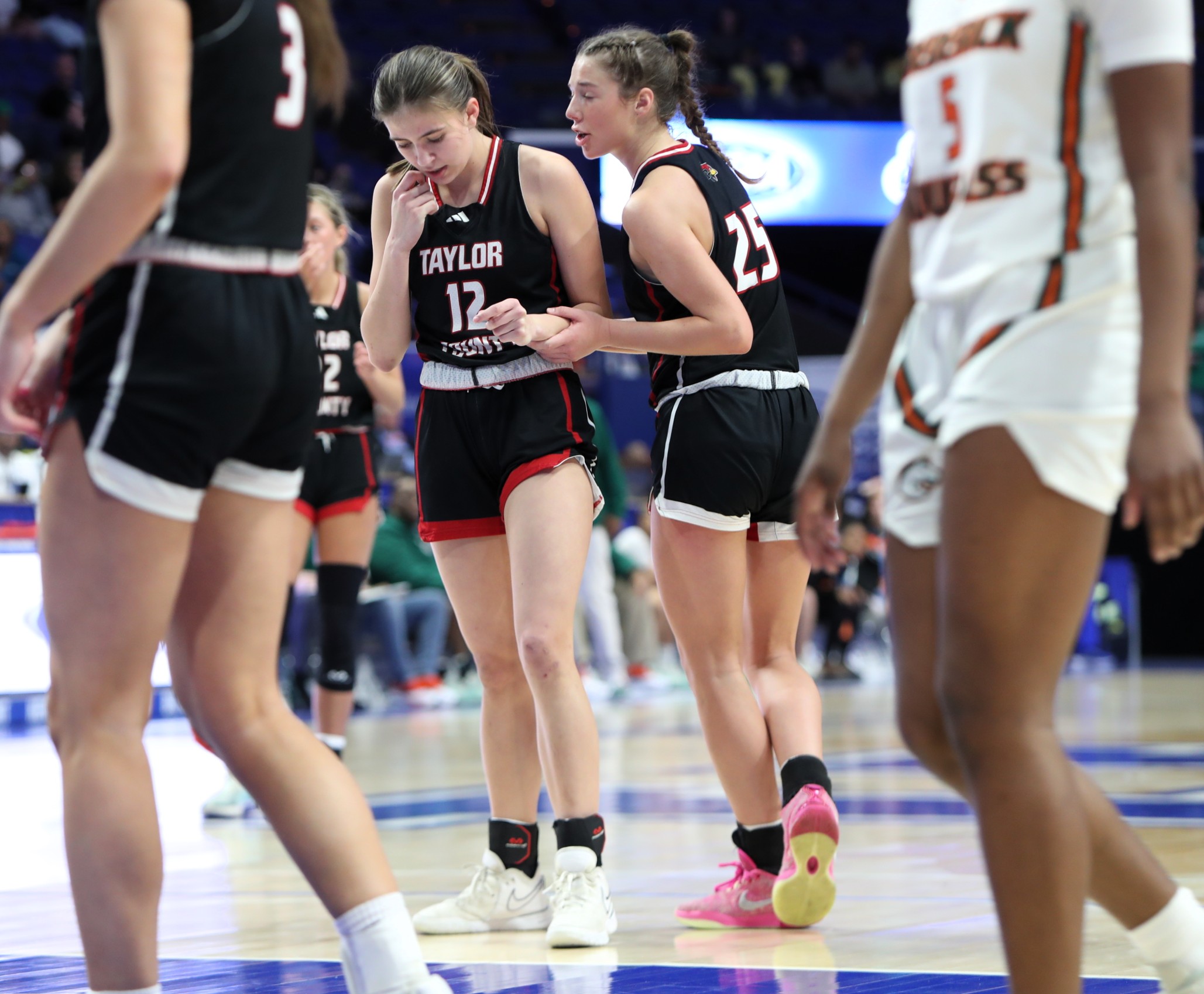 Taylor County Lady Cardinals